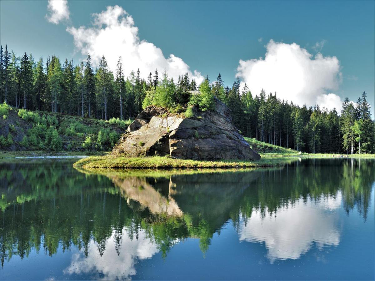 Naturforsthaus Gartenblick Fuer Hunde - Und Naturverbundene Menschen Preitenegg Esterno foto
