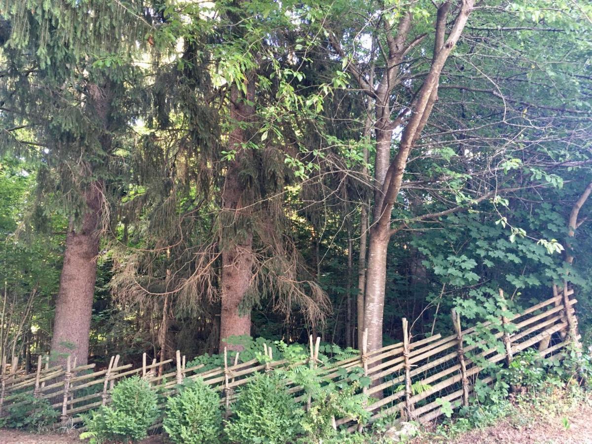 Naturforsthaus Gartenblick Fuer Hunde - Und Naturverbundene Menschen Preitenegg Esterno foto