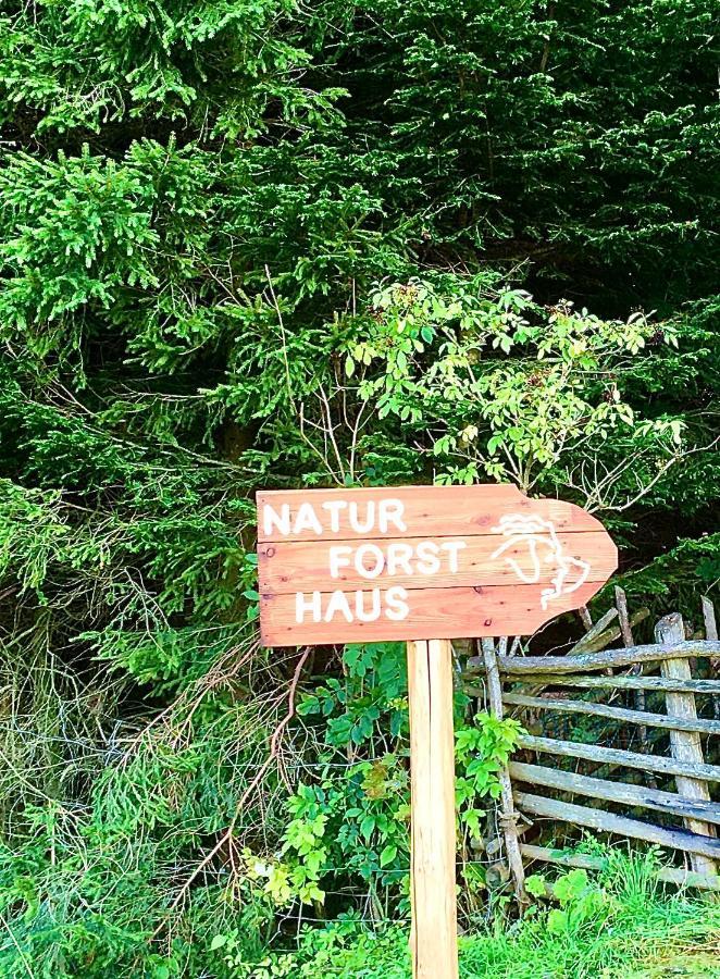 Naturforsthaus Gartenblick Fuer Hunde - Und Naturverbundene Menschen Preitenegg Esterno foto