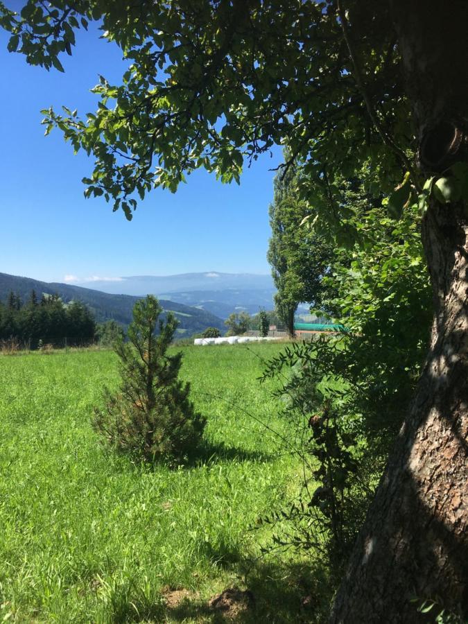 Naturforsthaus Gartenblick Fuer Hunde - Und Naturverbundene Menschen Preitenegg Esterno foto