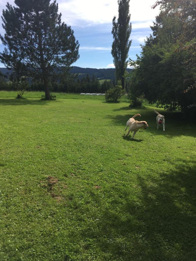 Naturforsthaus Gartenblick Fuer Hunde - Und Naturverbundene Menschen Preitenegg Esterno foto