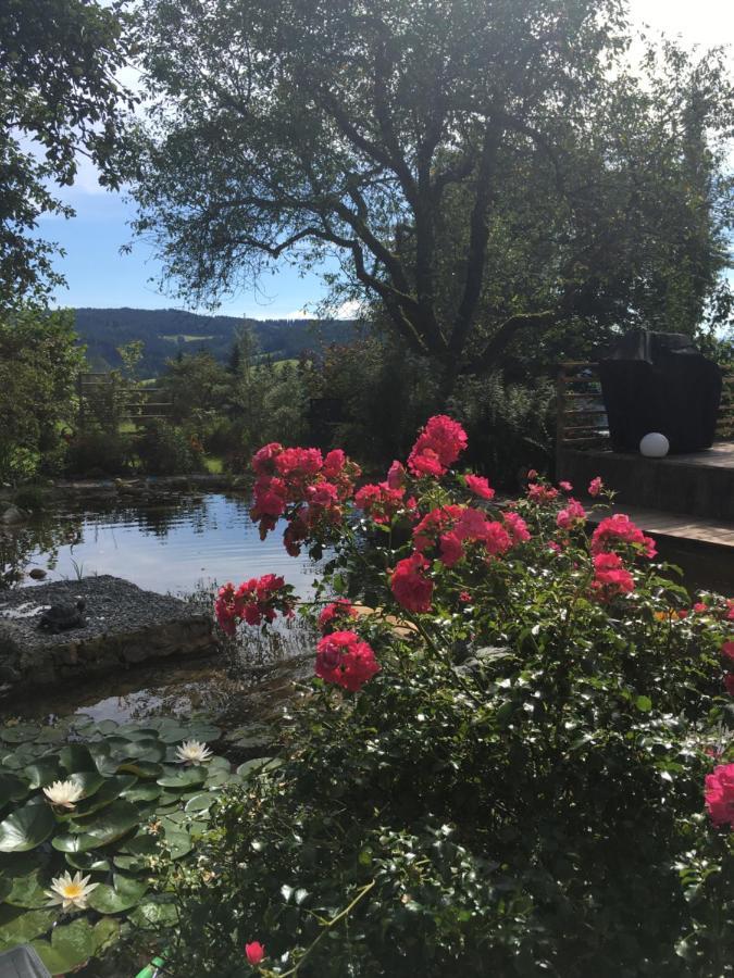 Naturforsthaus Gartenblick Fuer Hunde - Und Naturverbundene Menschen Preitenegg Esterno foto